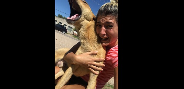 "Fueron 100 días horribles", pasó tres meses buscando a su perro y así fue su emotivo reencuentro