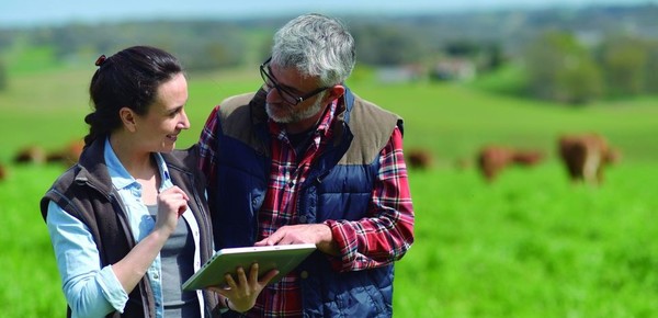 Cuál es el verdadero problema de comunicación en empresas familiares del agro