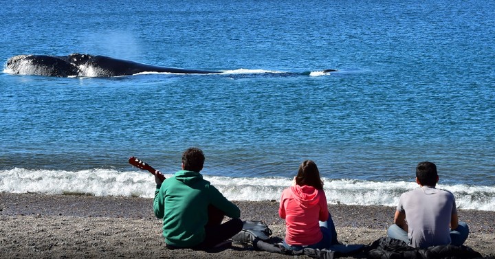 En los 23 km del Área de El Doradillo están las playas de Las Canteras y de El Doradillo, elegida entre las 6 primeras de Sudamérica en TripAvisor./ Foto: Turismo Puerto Madryn.