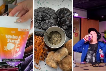 Los “hongos para el estrés” que son furor en redes: ¿moda pasajera o alivio real?